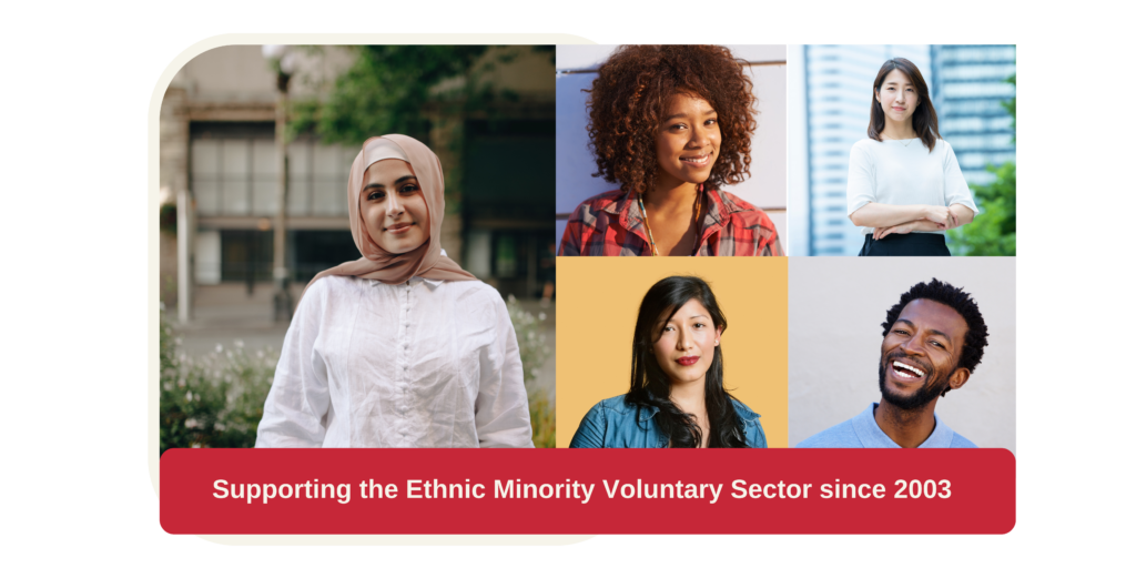 Supporting the Ethnic Minority Voluntary Sector